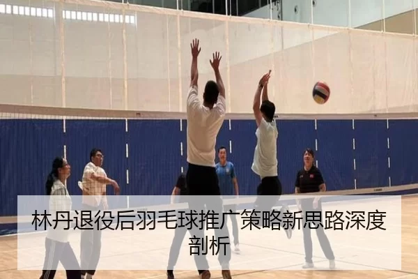 林丹退役后羽毛球推广策略新思路深度剖析